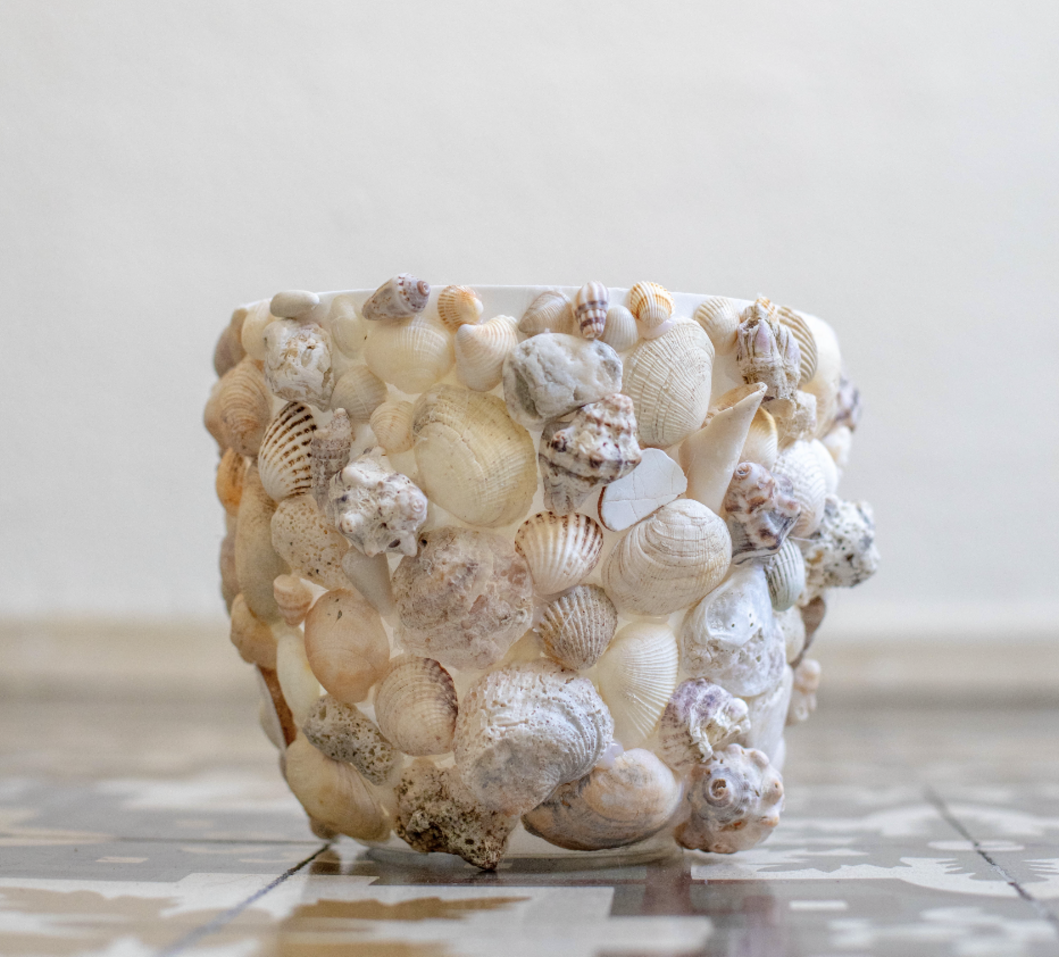 Macetero de conchas - 22 cm - 2
