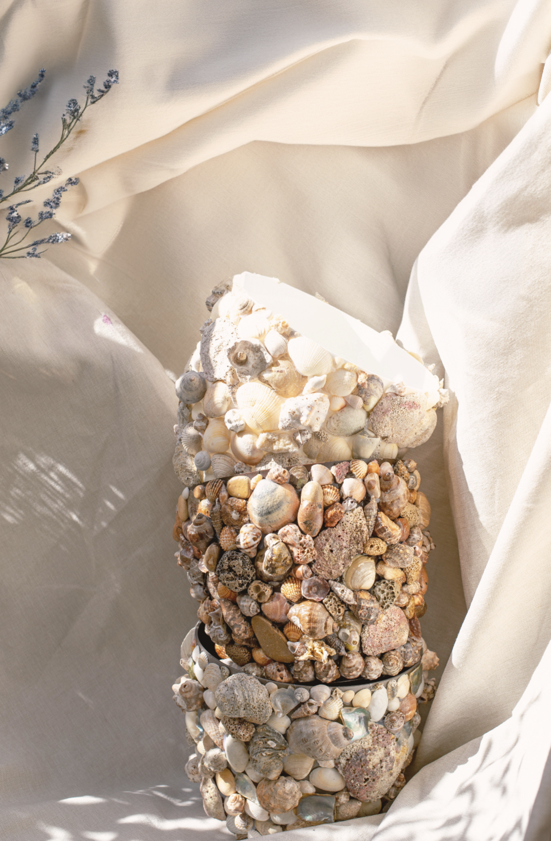 Macetero de conchas - 22 cm - 7