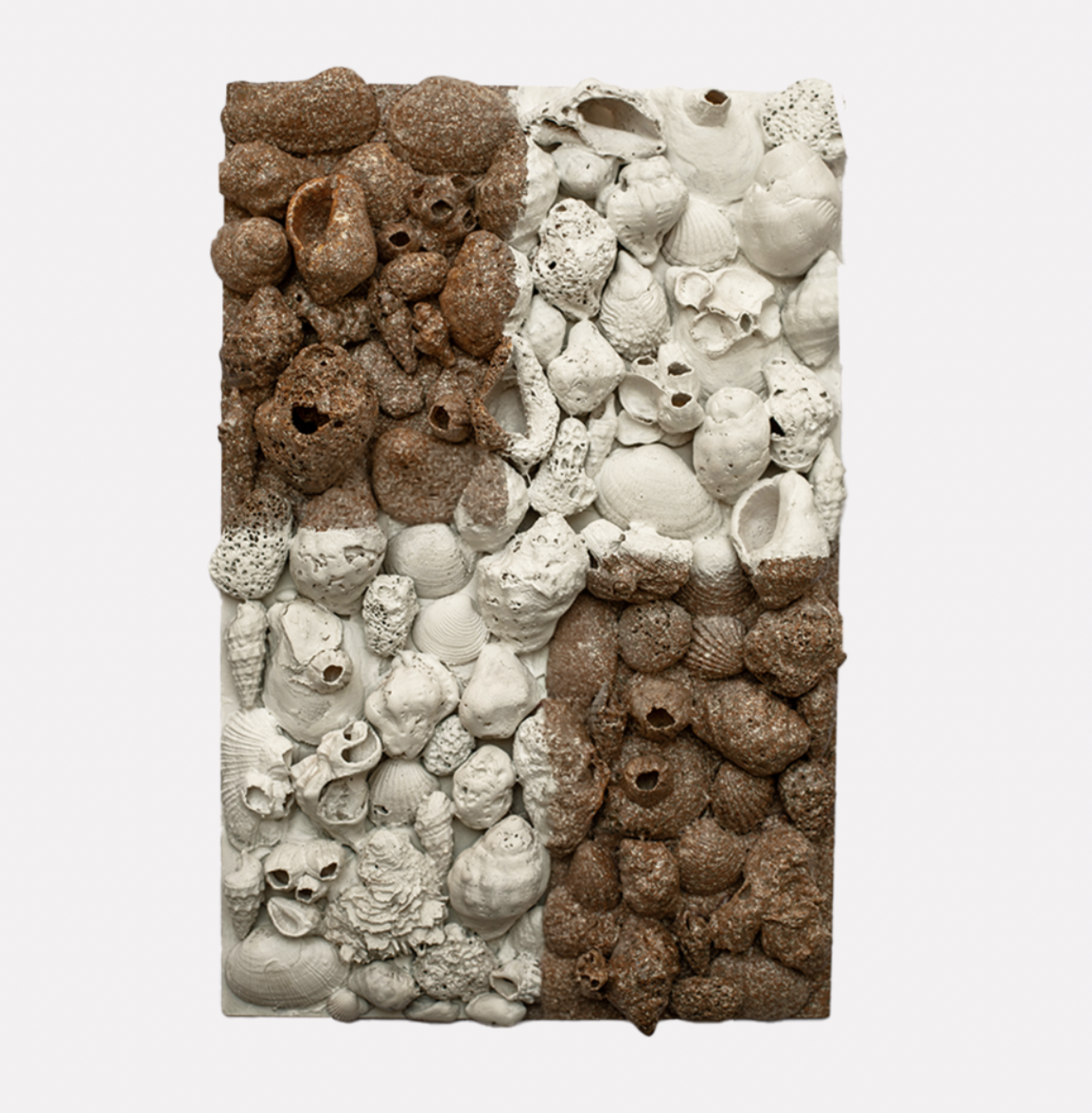 Obra original “Juego conchas” - 20 x 30 - 2