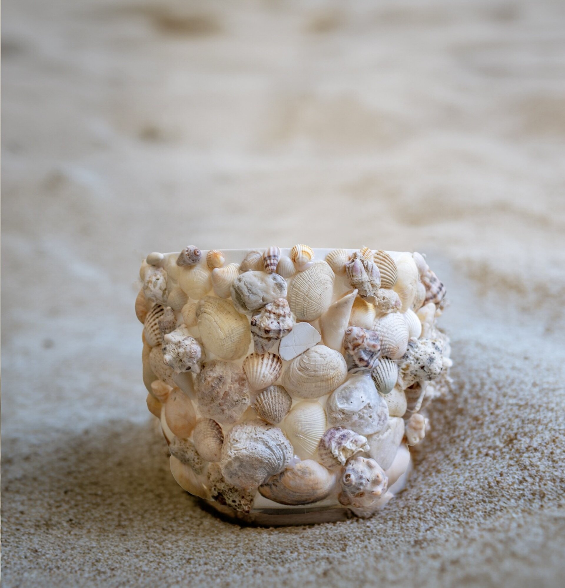 Macetero de conchas - 18 cm - 2