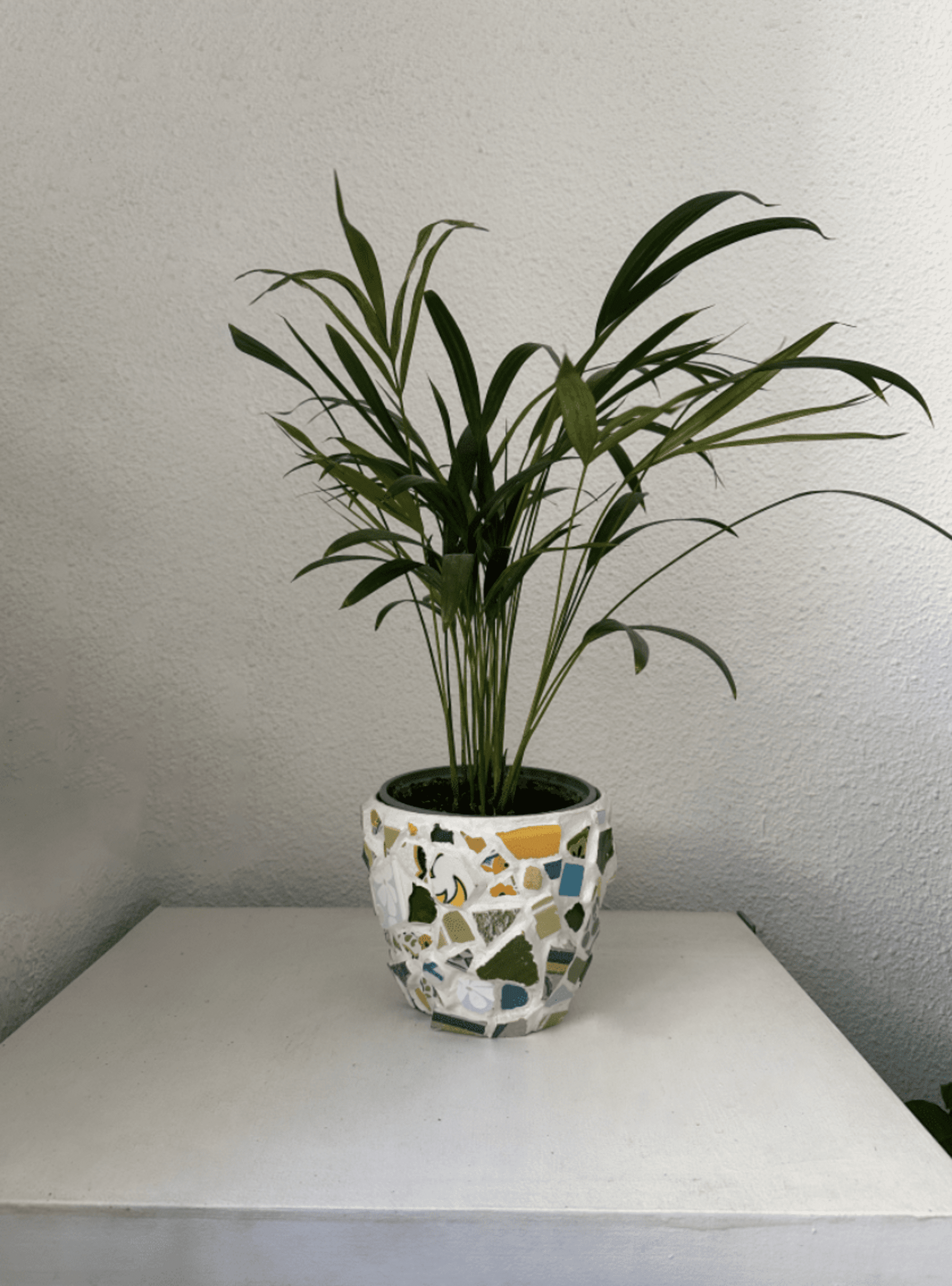 Macetero mosaico - 18 cm - 3